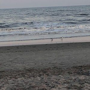 Meet your Posher, Kirsten